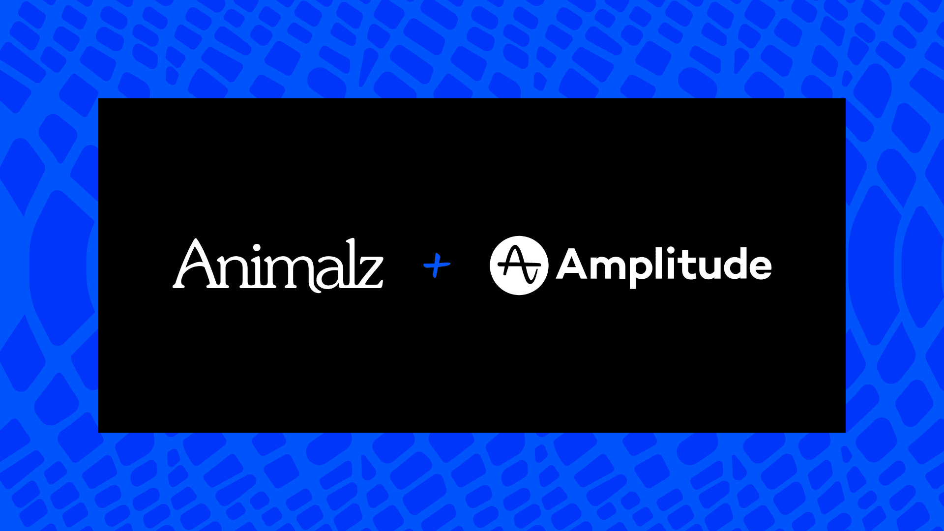 How Amplitude Built a Content Engine That Scaled From Seed to IPO