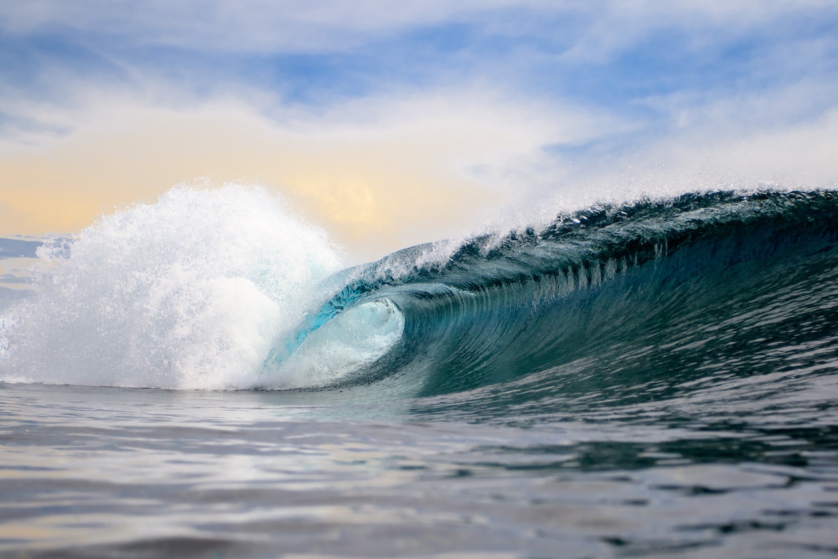 the growth wave
